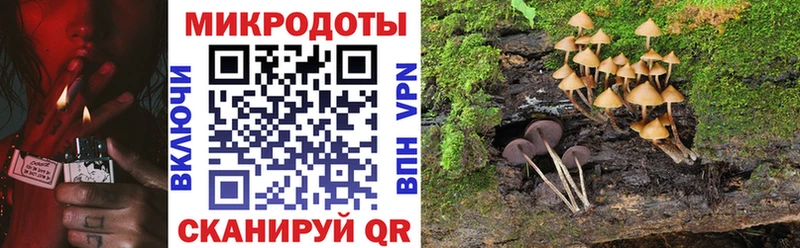 Псилоцибиновые грибы прущие грибы Гудермес