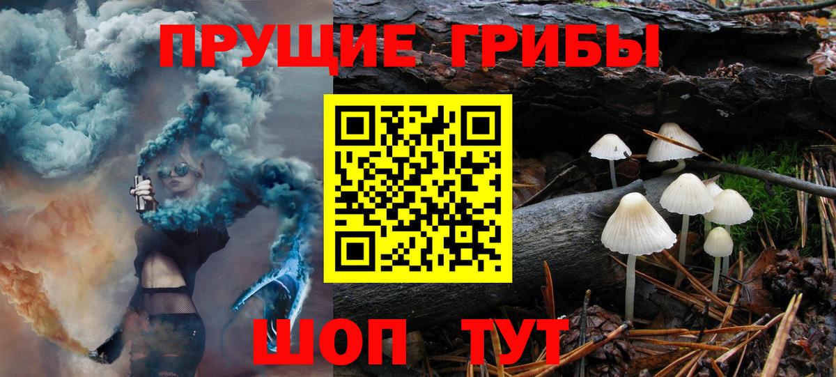 Галлюциногенные грибы мицелий  Гудермес  Галлюциногенные грибы Magic Shrooms 