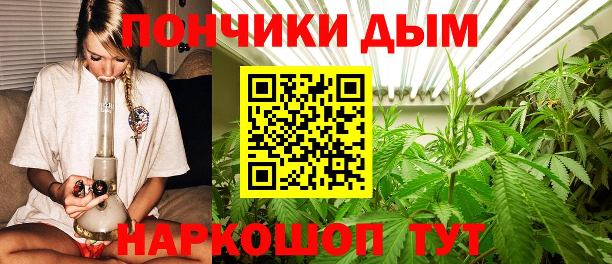 Каннабис гибрид Гудермес
